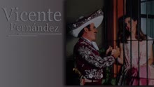 Vicente Fernández - Una Copa Más (Cover Audio)