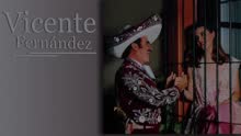 Vicente Fernández - No, No y No (Cover Audio)