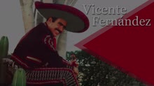 Vicente Fernández - Una Noche Como Esta (Cover Audio)