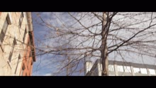 Sima - Semihyvä boogie