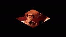 Vicente Fernández - El Charro Mexicano (Cover Audio)