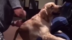 音乐短片 - 国外爆笑Vine 短片合集88