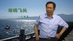 音乐短片 - 海鸥飞处 . yixin映画