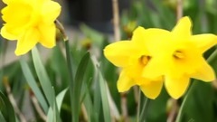 音乐短片 - 用你的温柔取暖