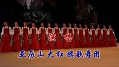 舞蹈视频,俄罗斯群星 - 红莓花儿开