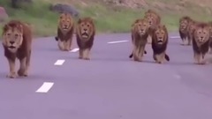 音乐短片 - Real Or Fake