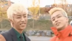 BigBang,少女时代,EXO,防弹少年团,Red Velvet - 韩国KPOP各家爱豆超级搞笑片段)不笑算我输!