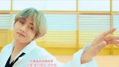 田柾国(防弹少年团),V(防弹少年团) - DNA 正泰cut