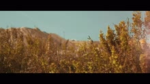 Feridun Duzagac - Biçare (Official Video)