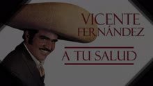 Vicente Fernández - Negra Cruz (Cover Audio)