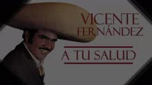 Vicente Fernández - A Tu Salud (Cover Audio)