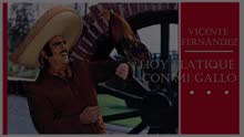 Vicente Fernández - Larga Distancia (Cover Audio)