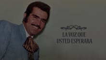 Vicente Fernández - La Copa Rota (Cover Audio)