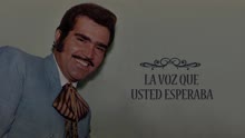 Vicente Fernández - Mi Desgracia (Cover Audio)