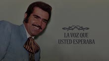 Vicente Fernández - Perdóname (Cover Audio)