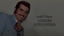 Vicente Fernández - Cantina de Mi Barrio (Cover Audio)