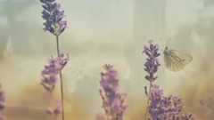 邓丽君 - 微风细雨