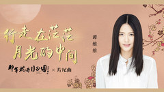 谭维维 - 行走在茫茫月光的中间