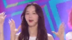 MOMO LAND - Freeze