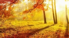 音乐短片 - 秋梦