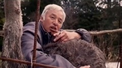 风景,音乐短片,乐动城市 - 行者—我们替你闯世界·死亡孤城