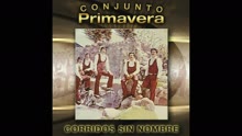 Sin Fortuna (Cover Audio Video)