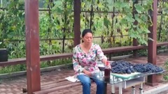 音乐短片 - 大娘展示农村酿葡萄酒过程,不放添加剂成本又便宜放一年不坏胖嫂