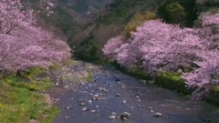 音乐短片 - 谁在红尘里等待