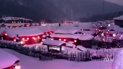 风景,音乐短片 - 东北雪
