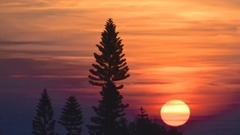 音乐短片 - 几度夕阳红