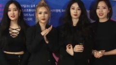 T-ara,智妍(T-ara),李居丽(T-ara),朴孝敏(T-ara),咸慇晶(T-ara) - T-ARA得奖感言