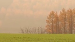 音乐短片 - Autumn Dreams