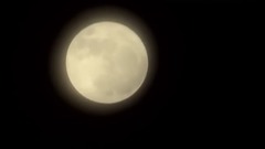 音乐短片 - Moon Dance