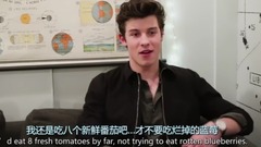 Shawn Mendes - 萌德在肥伦秀的后台问答2017