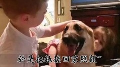 音乐短片,萌宠 - 主人刚救了一只德国狼犬回家,隔天突然发狂扑向小女儿!当众人见状冲上前想阻止时竟看到让人心碎的画面!