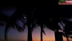 音乐短片 - 星星点灯