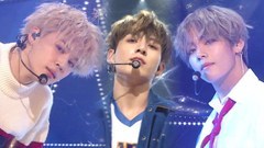 防弹少年团 - DNA