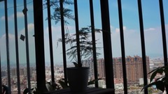 音乐短片 - 忙碌而又松散的日子