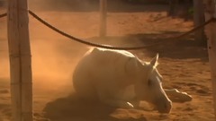 音乐短片 - For You