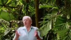 音乐短片 - 植物王国 第二集