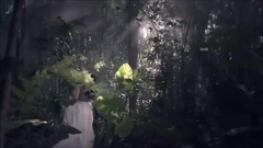 音乐短片 - Franz Schubert - Serenade