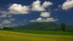 音乐短片 - And I Love You So