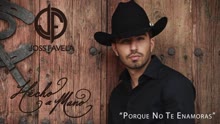 Porque No Te Enamoras (Cover Audio)