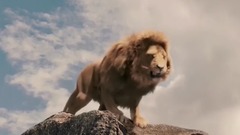 音乐短片 - The Lion King Reborn