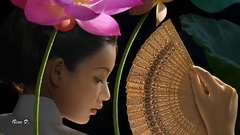 风景,音乐短片 - Wychazel x Lotus Petals In The Breeze