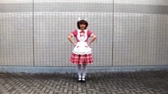 DANCEROID - [柚姫]ねこみみスイッチ[踊ってみた]