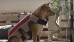 音乐短片 - #谁伴我闯荡#江湖啊江湖