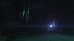 欧美群星 - Howlin'