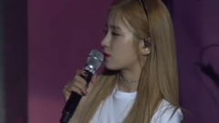 Apink - 演唱会结束感想