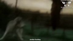 New - Out Of Control